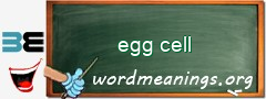 WordMeaning blackboard for egg cell